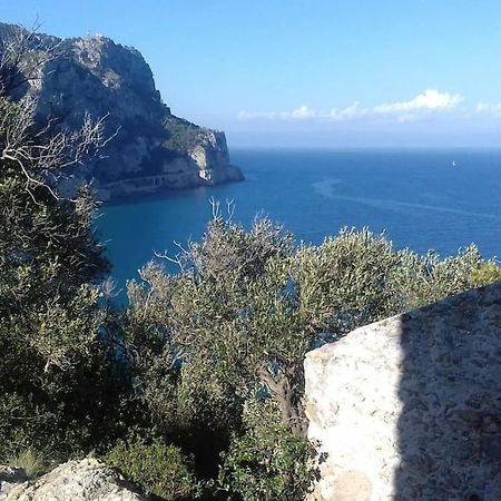 Appartamento Vittoria Pietra Ligure Zewnętrze zdjęcie